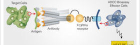 bioassay10338ta_280x90